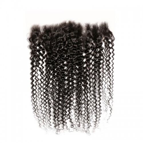 Virgin Human Hair Kinky Curly 13x4 13x6 HD Lace Frontal | Human Hair Wig | Lace Front